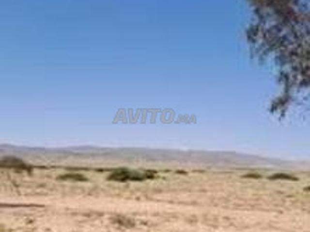 Propriété vente à Zaïo