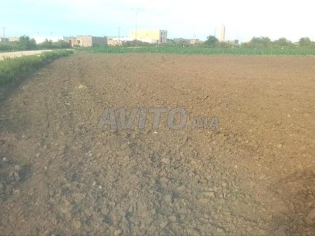 Propriété vente à Zmamra, Gharb-Chrarda-Beni Hssen