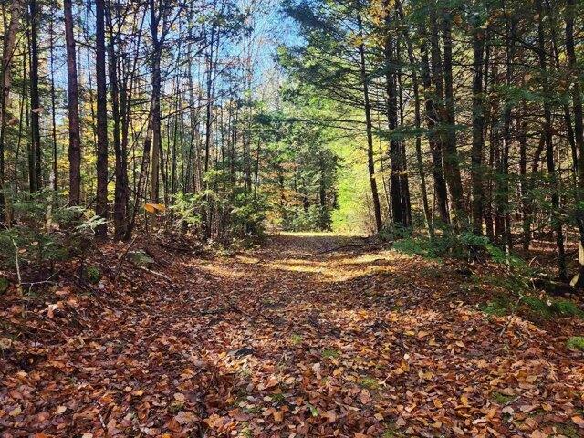 Land for sale in New Hampshire