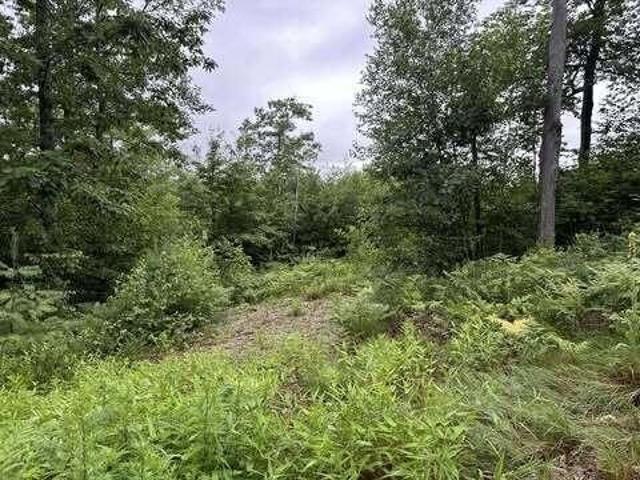 Land for sale in Lovell, Maine