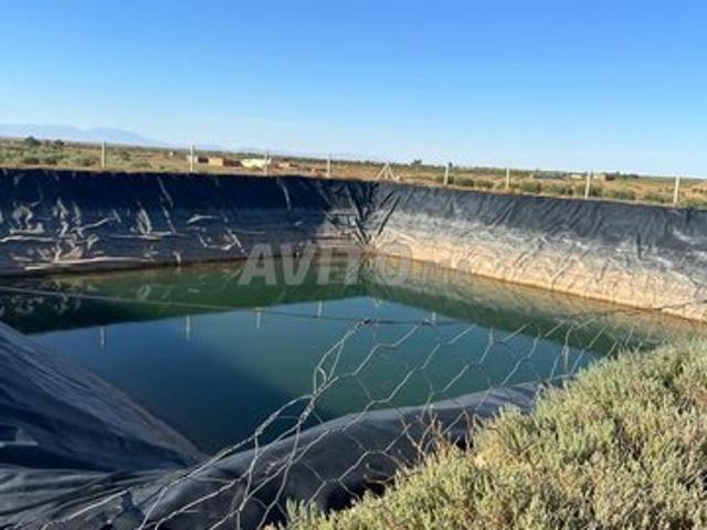 Propriété vente à Guercif