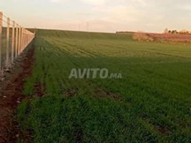 Propriété vente à El Hajeb