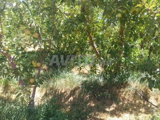 Propriété vente à Ifrane