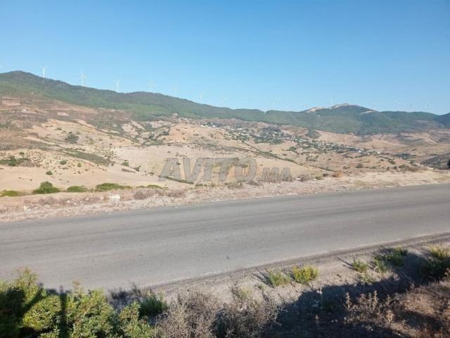 Propriété vente à El Fahs, Tanger-Tétouan
