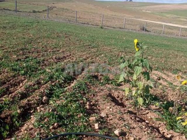 Propriété vente à Ben Ahmed, Gharb-Chrarda-Beni Hssen