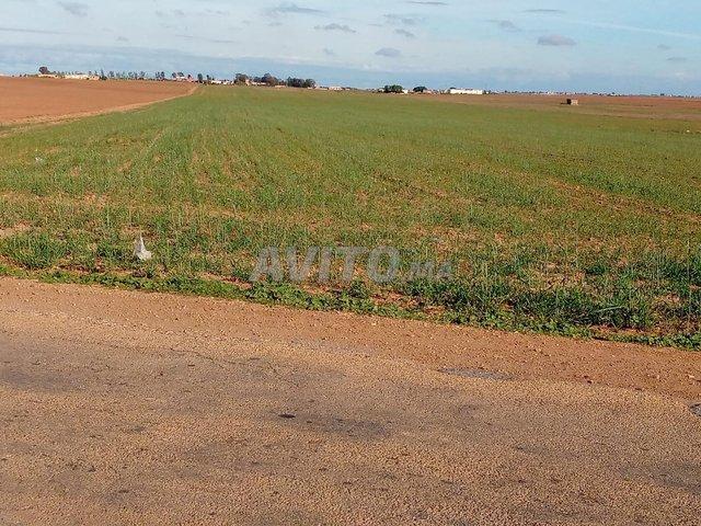 Propriété vente à El Ma, Gharb-Chrarda-Beni Hssen