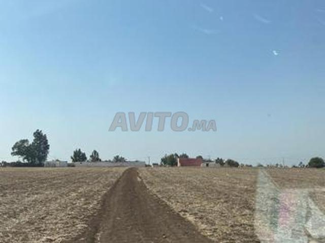 Propriété vente à Oulad Said, Gharb-Chrarda-Beni Hssen