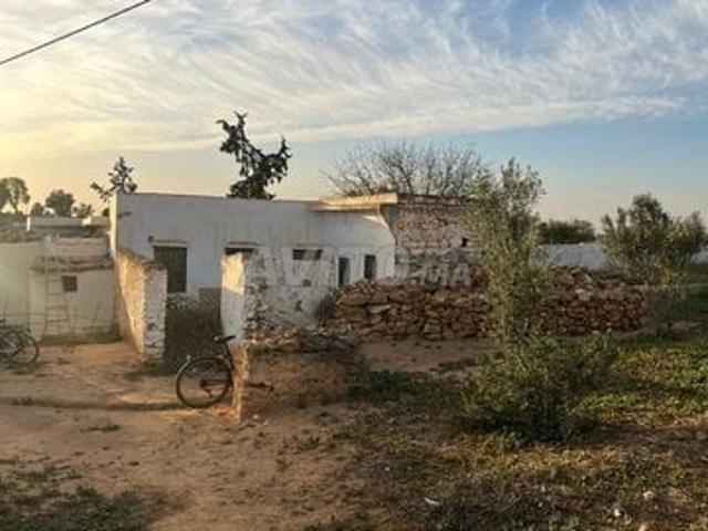 Maison vente à Khémisset