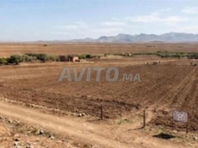 Propriété vente à Ouled, Oued ed Dahab-Lagouira