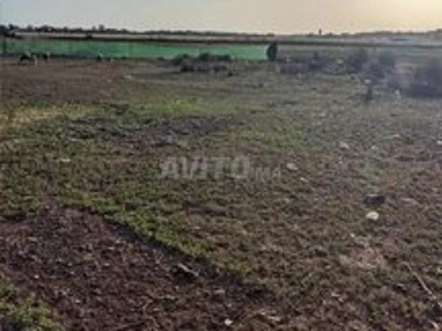 Propriété vente à El Ma, Gharb-Chrarda-Beni Hssen