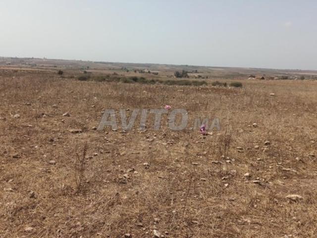 Propriété vente à El Ma, Gharb-Chrarda-Beni Hssen