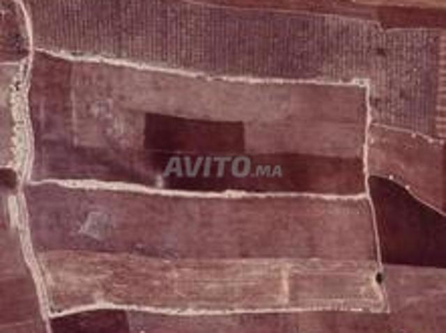 Propriété vente à El Ma, Gharb-Chrarda-Beni Hssen