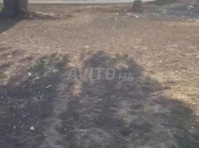 Propriété vente à Mohammedia, Gharb-Chrarda-Beni Hssen