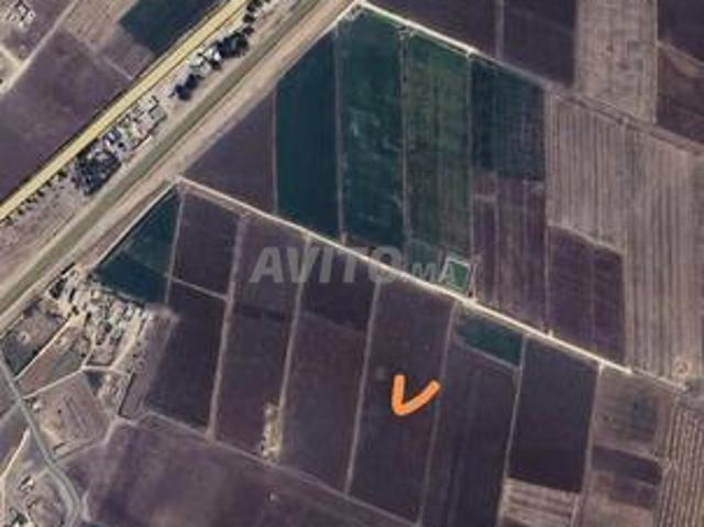 Propriété vente à Zmamra, Gharb-Chrarda-Beni Hssen