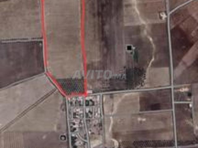 Propriété vente à Oued Amlil