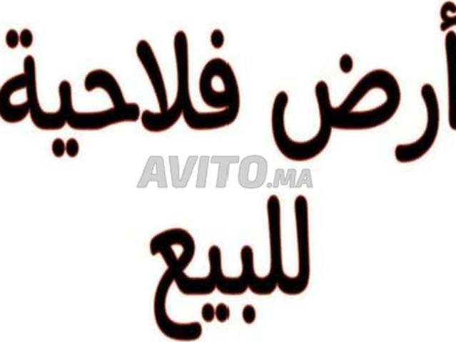 Propriété vente à El Ma, Gharb-Chrarda-Beni Hssen