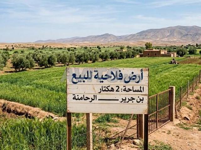 Propriété vente à Ben Guerir ⴱⴰⵏⴳⵔⵉⵔ ابن جرير, Province de Rhamna إقليم الرحامنة