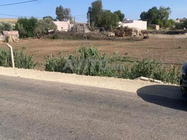 Propriété vente à Ras El Ain, L'Oriental