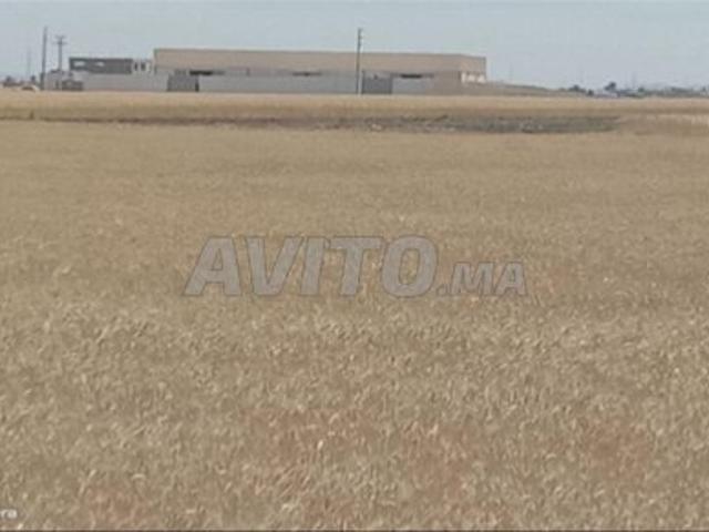 Propriété vente à Slimane, Gharb-Chrarda-Beni Hssen
