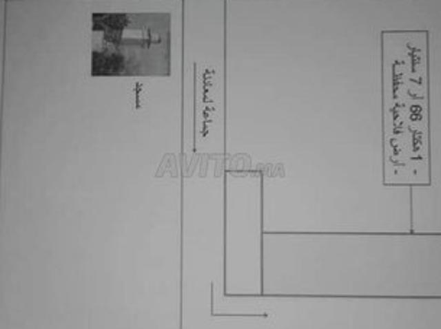 Propriété vente à Oued Zem, Chaouia-Ouardigha