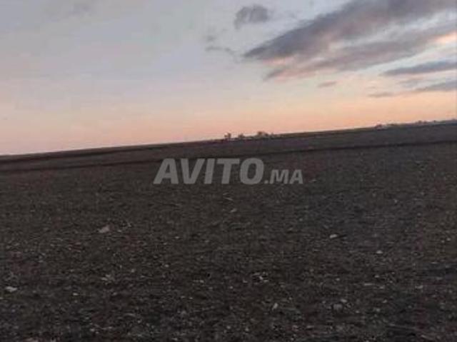 Propriété vente à Sidi Hajjaj, Gharb-Chrarda-Beni Hssen