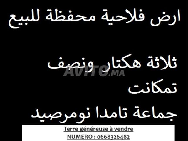 Propriété vente à Azilal