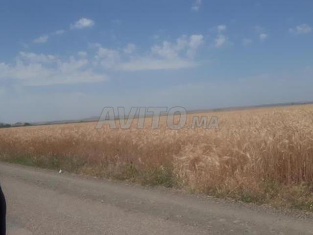 Propriété vente à Ar Rommani