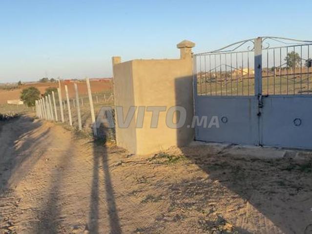 Propriété vente à Sidi Allal El Bahraoui