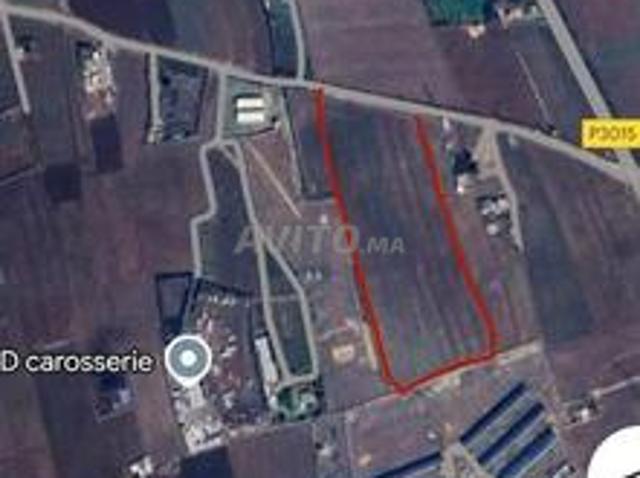 Propriété vente à Sidi Hajjaj, Gharb-Chrarda-Beni Hssen