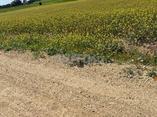 Propriété vente à Settat, Gharb-Chrarda-Beni Hssen