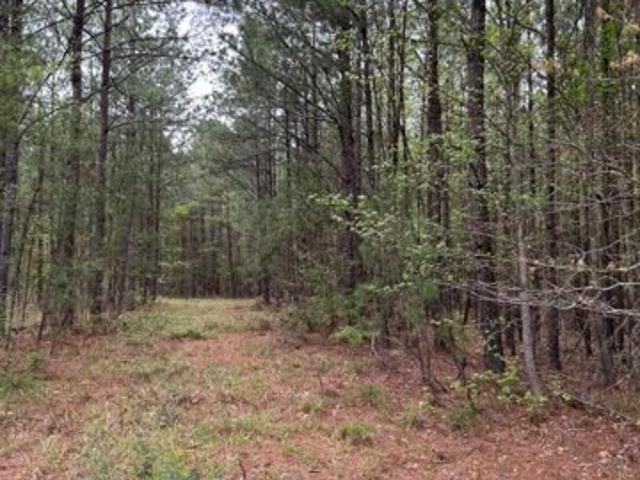 Land for sale in Broaddus, Texas