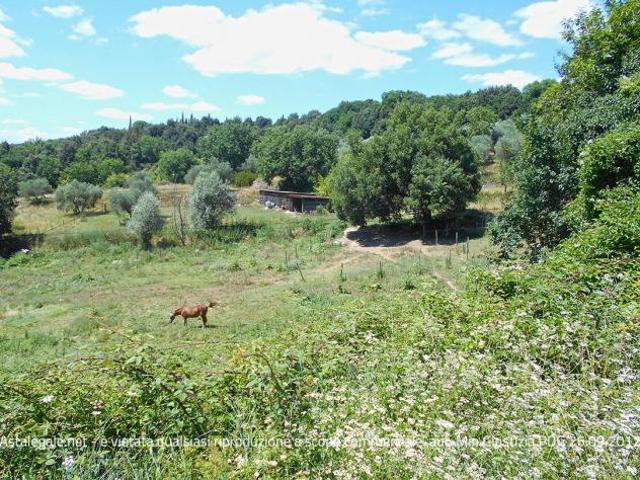 Terreno in vendita a Siena
