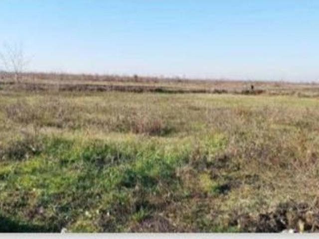 Terreno in vendita a Nogara, Veneto