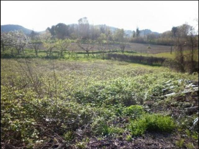 Terreno in vendita a Marche, Pesaro E Urbino