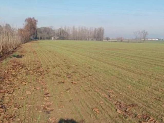Terreno in vendita a Nogara, Veneto