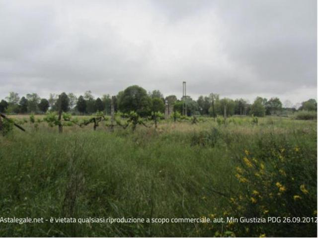 Terreno in vendita a Marche, Pesaro E Urbino