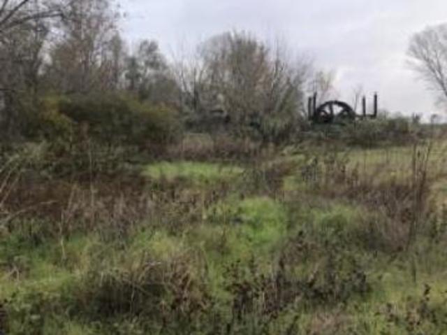 Terreno in vendita a Arena Po, Lombardia