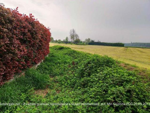 Terreno in vendita a Giovenzano, Vellezzo Bellini