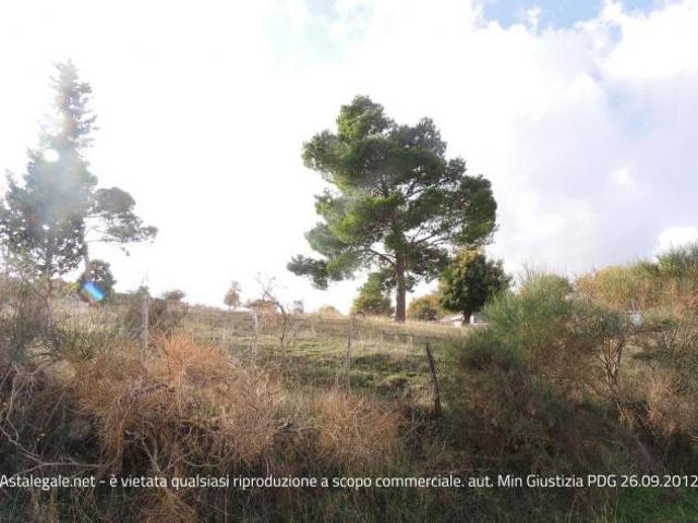 Terreno in vendita a Nicosia, Sicilia