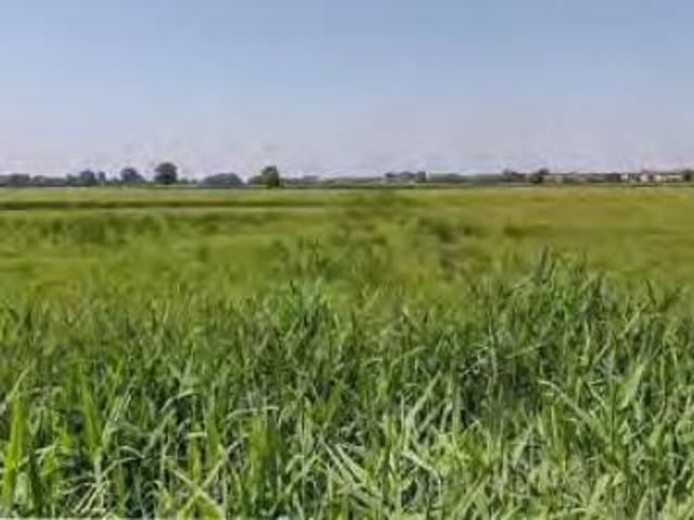 Terreno in vendita a Cava Manara, Lombardia
