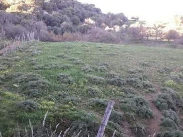 Terreno in vendita a Calascibetta, Enna