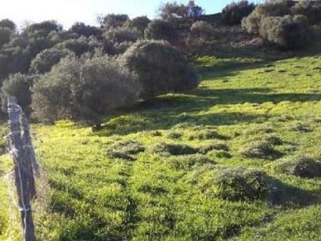 Terreno in vendita a Calascibetta, Sicilia