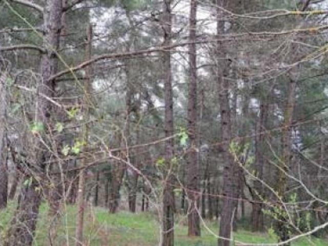 Terreno in vendita a Piancastagnaio, Siena