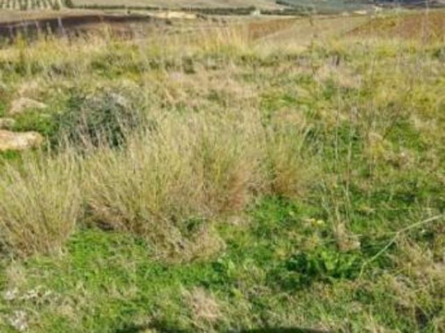 Terreno in vendita a Salemi, Trapani