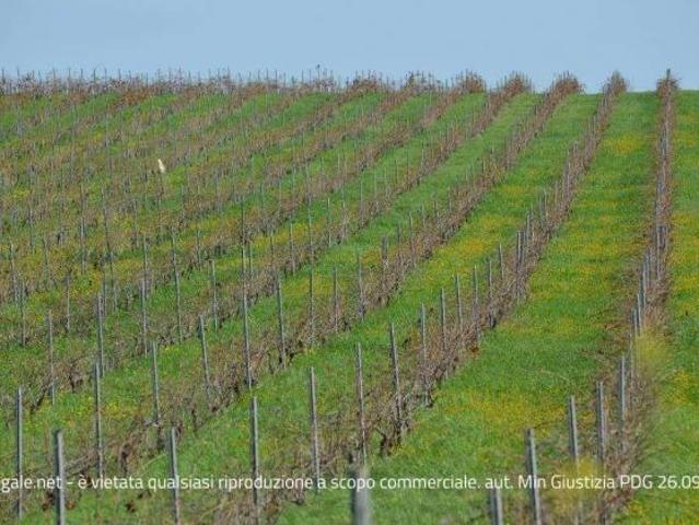 Terreno in vendita a Trapani, Sicilia