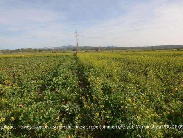 Terreno in vendita a Paceco, Sicilia