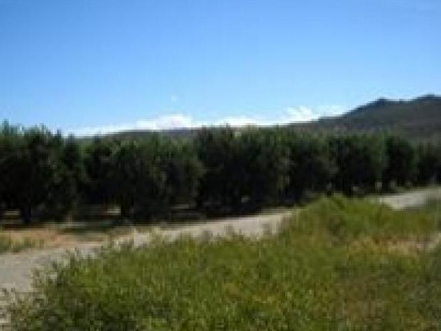 Terreno in vendita a Calabria, Cosenza