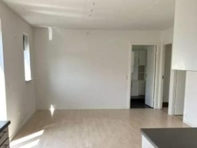 Hus til leje i Odense