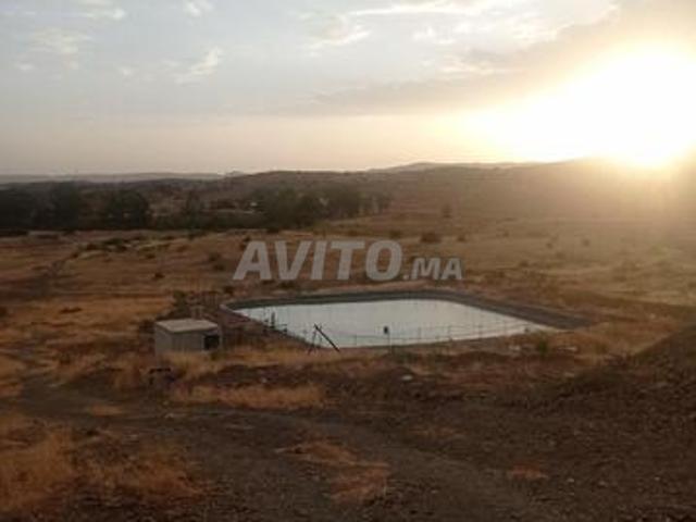 Propriété location à Khénifra