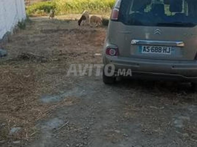 Propriété vente à Chauen, Tanger-Tétouan